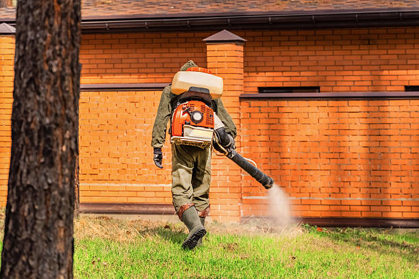 Trusted Bed Bug Control service in Jacksonwald, PA - Nex Pest Control